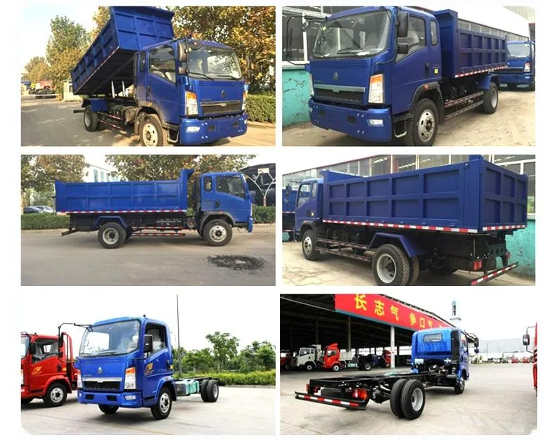 4X2 Light Duty Car Truck Sinotruk HOWO 6 Tons 116HP LHD Rhd Box Truck Van Cargo Truck