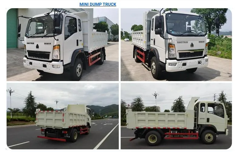 4X2 Light Duty Car Truck Sinotruk HOWO 6 Tons 116HP LHD Rhd Box Truck Van Cargo Truck